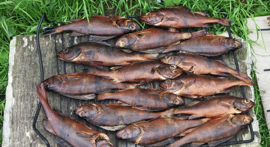 'Ēdīsim Latvijas zivis' - piejūras novados izglītos par zivsaimniecību