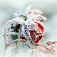 Синоптики: в пятницу в Латвии ожидается небольшой снег и дожди
