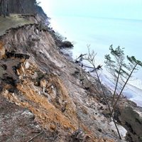 ФОТО: В Юркалне обвалился крутой берег моря с деревьями