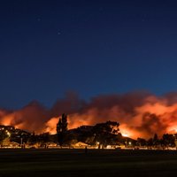 Jaunzēlandē plosās plašs ugunsgrēks