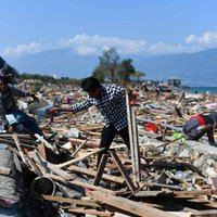 Счет жертв природной катастрофы в Индонезии пошел на тысячи
