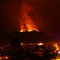 Тенерифе в огне: пожары на острове могли начаться из-за поджогов