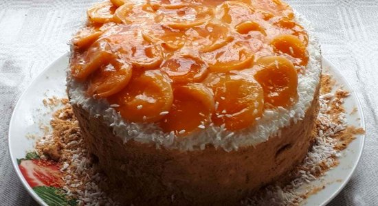 Biskvīta torte ar bagātīgu krēmu un žāvētām aprikozēm