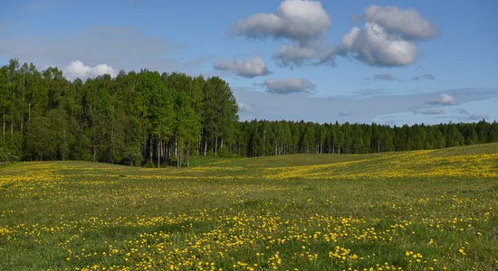 Туризм по-прежнему держится за счет местных путешественников