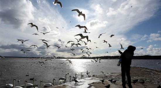 Zinātniski argumenti, kāpēc labāk būt no attiecībām brīvam