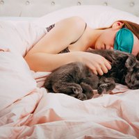 В постели с котом: "за" и "против" сна вместе с питомцем