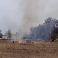 Salas novadā par kūlas dedzināšanu aiztur 79 gadus vecu sirmgalvi