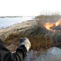 Piektdien Latvijā dzēsti trīs kūlas ugunsgrēki