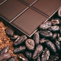 Tuvāko gadu laikā būs šokolādes deficīts; maksās kā melnie ikri, brīdina ražotāji