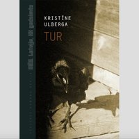 Sērijā 'Mēs. Latvija, XX gadsimts' izdots Kristīnes Ulbergas romāns 'Tur'