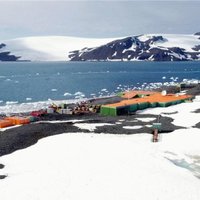 В Антарктиду вторгаются чуждые виды флоры и фауны
