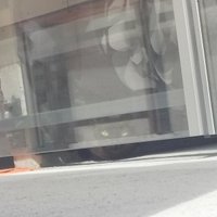 Policija izglābj kaķīti, kas jau kopš Jāņiem sēdējis uz balkona