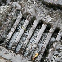 Stipro lietusgāžu laikā Daugavā nonākuši 77 000 kubikmetru neattīrītu Rīgas notekūdeņu