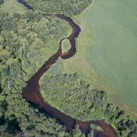 ФОТО, ВИДЕО: Красивая литовская река с высоты птичьего полета