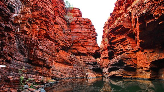 Karidžinī parks Austrālija kanjons 