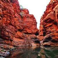 Kanjonu ielenkumā: brīnumainais Karidžīnī parks Austrālijā
