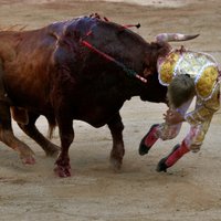 Spānijā pirmo reizi 30 gadu laikā vēršu cīņā iet bojā matadors