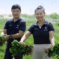 Starp akumulatoriem un elektroauto BMW Ķīnā audzē zemesriekstus