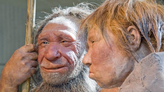 Neanderthal