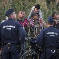 Венгрия: за незаконную перевозку мигрантов задержан негражданин Латвии