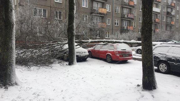 Rīgā vējš koku uzgāž auto - 2