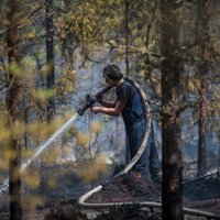 Spēcīgais lietus būtiski atvieglojis Valdgales kūdras purva un meža ugunsgrēka dzēšanu