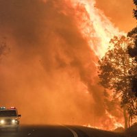 Lielā krūmāju ugunsgrēkā Austrālijā gājuši bojā divi cilvēki