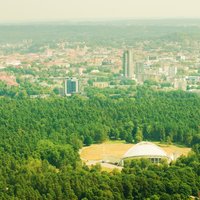 Viļņas lielāko parku iekaro kurmji, domnieki aicina sadzīvot