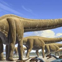 В Германии обнаружены останки 30-тонного маменчизавра