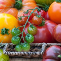 Slavas dziesma tomātam: Kāpēc tas ir viens no veselīgākajiem dārzeņiem?