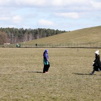 Atbalstīs pašnodarbinātos; sodi par pārkāpumiem līdz 5000 – lemj valdība (plkst. 18:25)