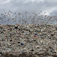 VVD pārtrauc līgumus ar pieciem atkritumu apsaimniekotājiem