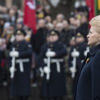 Кто придет на смену Грибаускайте? В Литве стартовала президентская предвыборная кампания