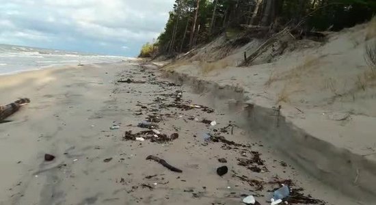 Beigti roņi un drazas – ko vēju plosītā jūra izsviež Kurzemes piekrastē