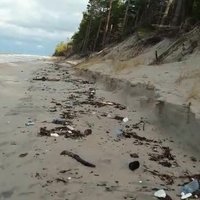 Beigti roņi un drazas – ko vēju plosītā jūra izsviež Kurzemes piekrastē