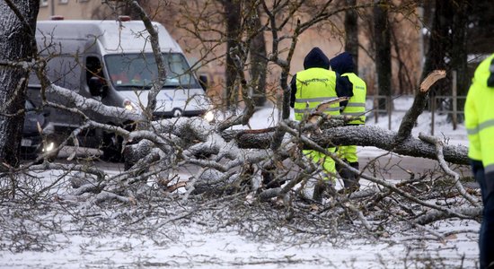 В Латвии беснуется разрушительный шторм, во время бури погибла женщина, "омикрон" наступает. 17 января: главное