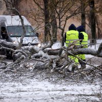 В Латвии беснуется разрушительный шторм, во время бури погибла женщина, "омикрон" наступает. 17 января: главное