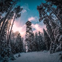 Maģiski foto: Ziemas pasaka dabas parkā 'Ogres Zilie kalni'