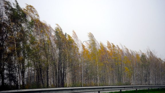 VUGD saņemti jau 46 izsaukumi par vēja radītiem postījumiem