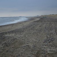 Эколог: местные власти не справляются с застройщиками прибрежной полосы