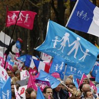 Во Франции обвинили "Единую Россию" в плагиате "флага натуралов"