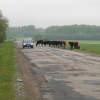 Плохие дороги в Латвии обходятся водителям в 500 млн. латов в год