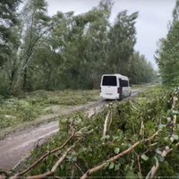 Video: Sagāzušies bērzi daļēji bloķē ceļu Jaunķemeros