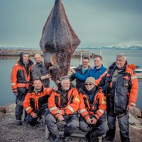 Литовцы в Норвегии выловили гигантского палтуса