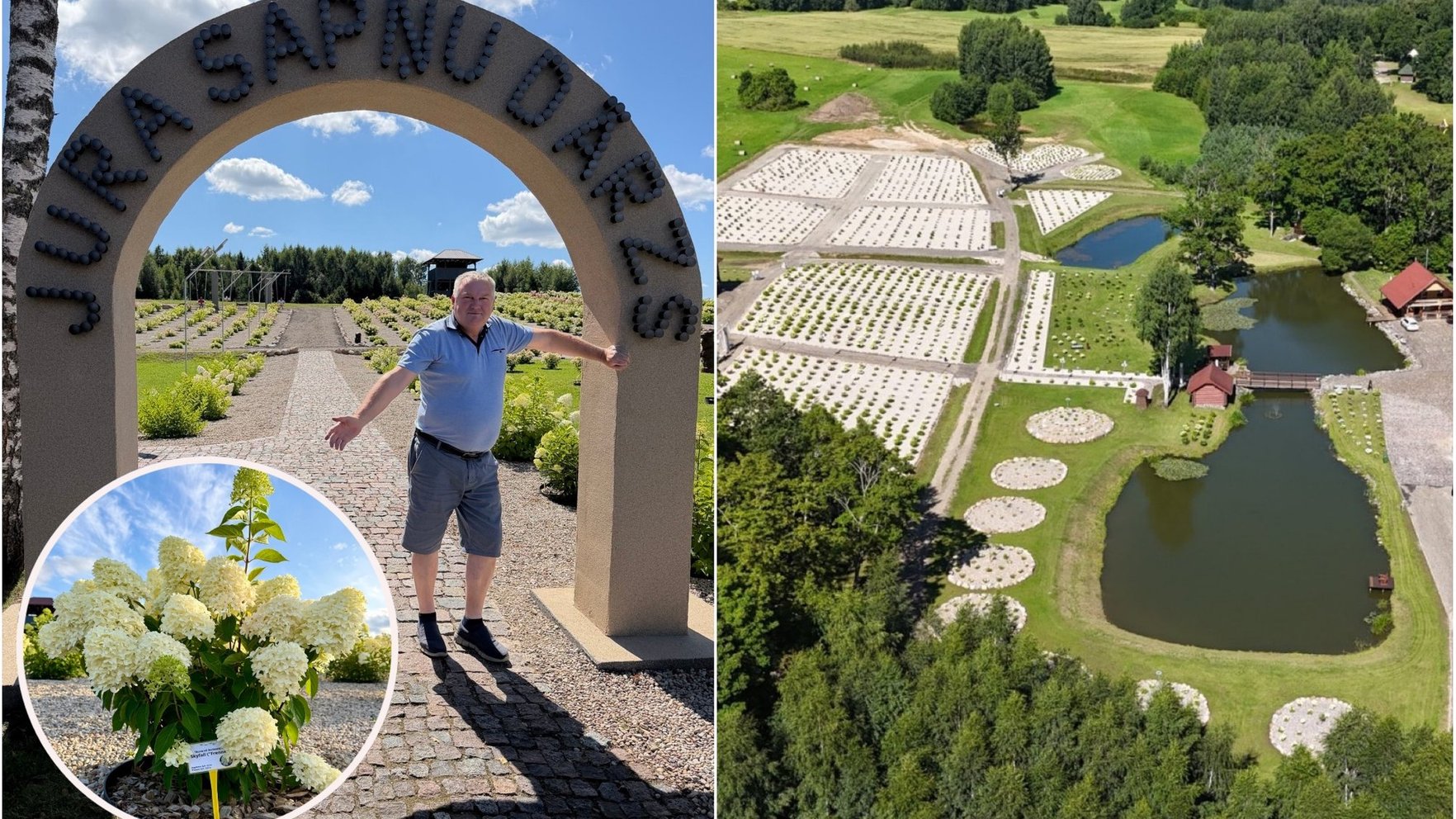 Man Opens Dream Hydrangea Garden to Revitalize Hometown Latvia