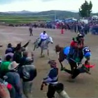 Video: Traģiskās sacīkstēs Peru zirgs nosit vīrieti