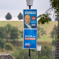 AfD deputāta sīpolu laukos Baltkrievijā strādājot politieslodzītie; Vācija sāk izmeklēšanu