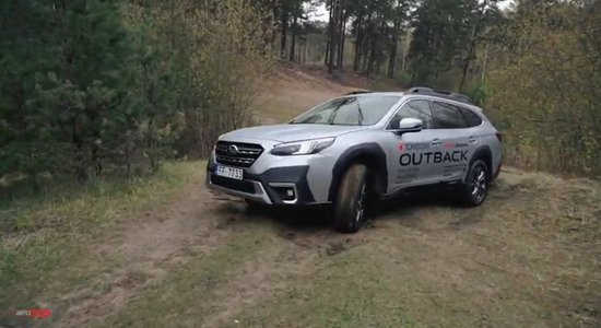 Subaru Outback: такой проходимости вы еще не видели (ВИДЕО)