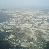 Pamazām sāk aizsalt Baltijas jūra; Latvijas piekraste pārsvarā brīva no ledus