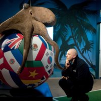 Поляки завели к ЕВРО-2012 своего осьминога-оракула